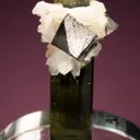 Cassiterite with Albite var. Cleavelandite on Elbaite - image 3