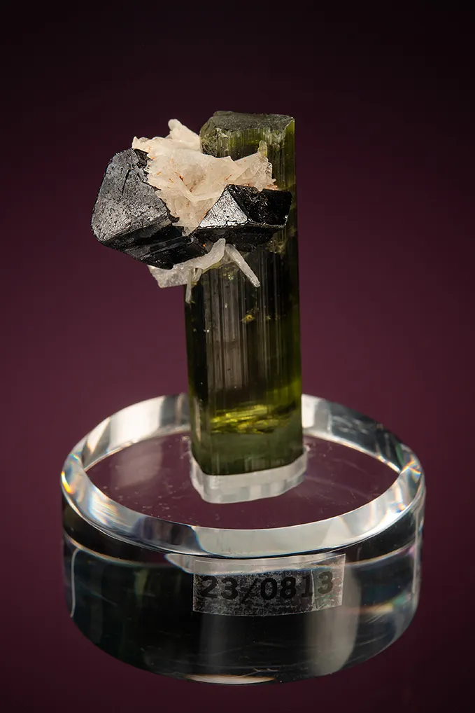 Cassiterite with Albite var. Cleavelandite on Elbaite image