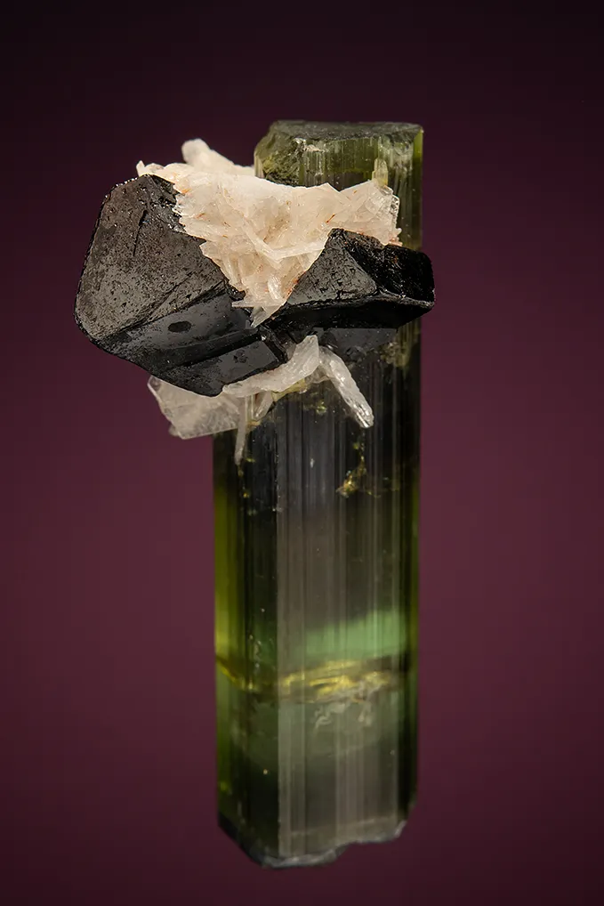 Cassiterite with Albite var. Cleavelandite on Elbaite - image 2