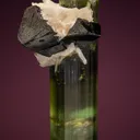 Cassiterite with Albite var. Cleavelandite on Elbaite - image 2