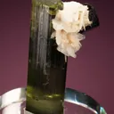 Cassiterite with Albite var. Cleavelandite on Elbaite - image 4