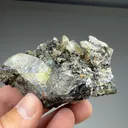 Cassiterite with Arsenopyrite - image 2