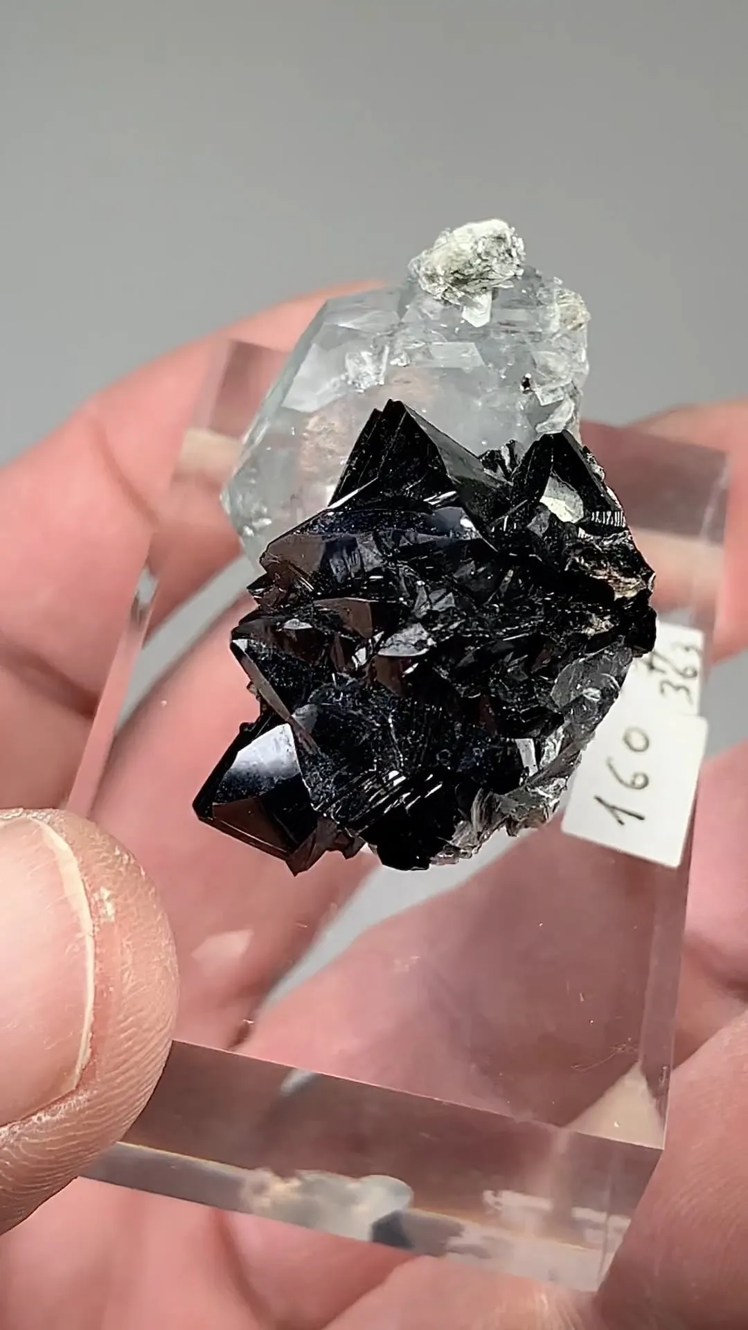 Cassiterite with Beryl - image 2
