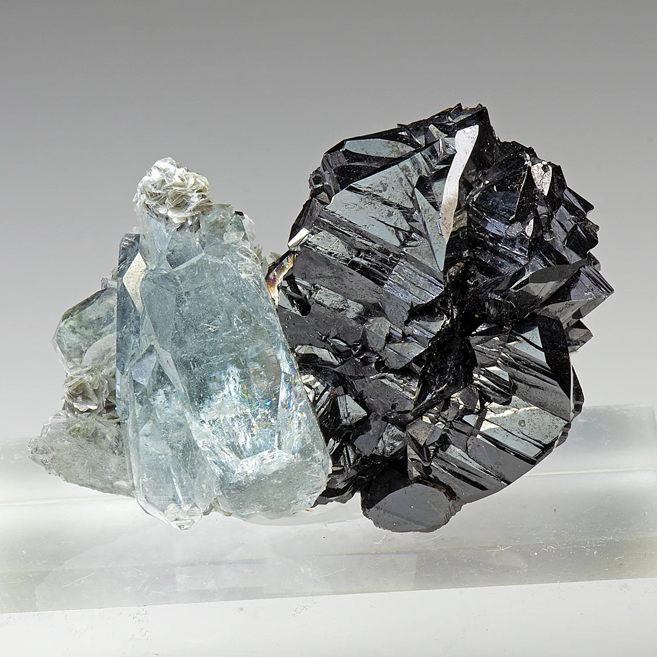 Cassiterite with Beryl - image 1
