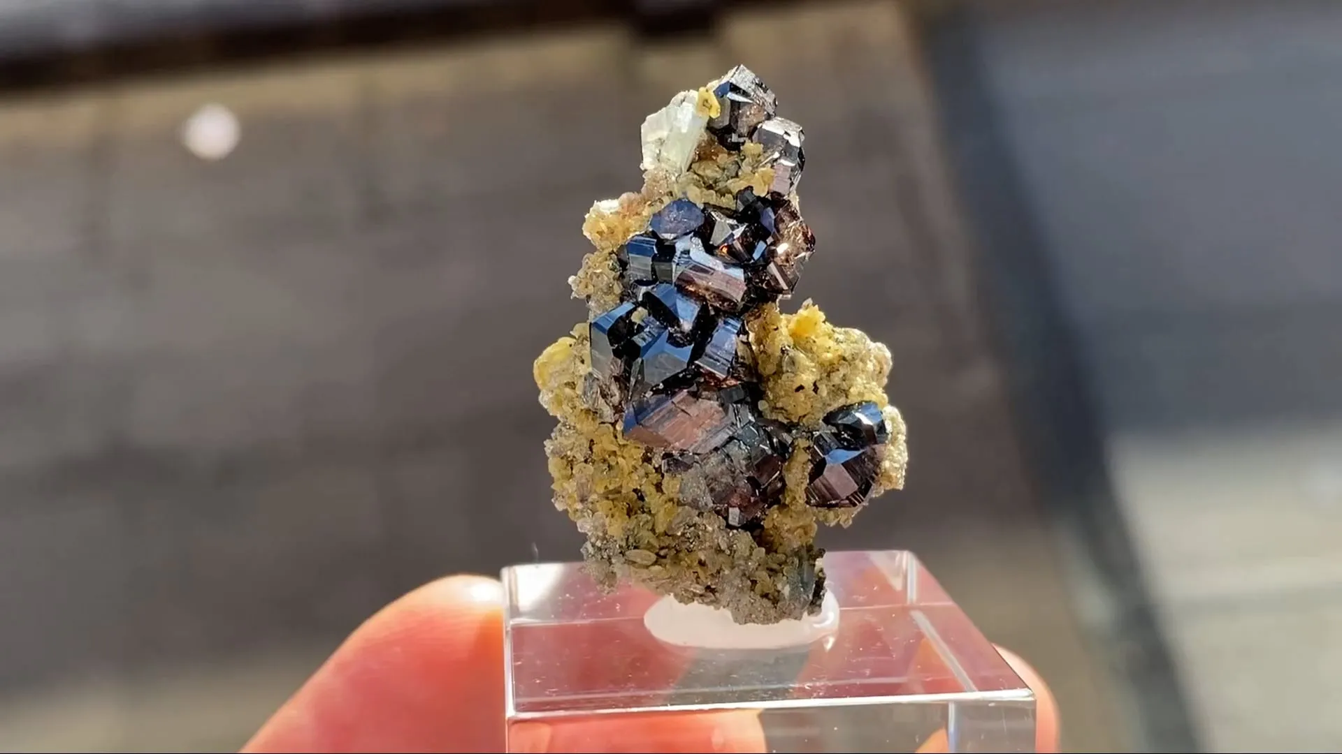 Cassiterite with Fluorapatite - image 5