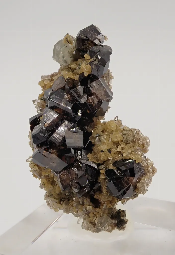 Cassiterite with Fluorapatite image