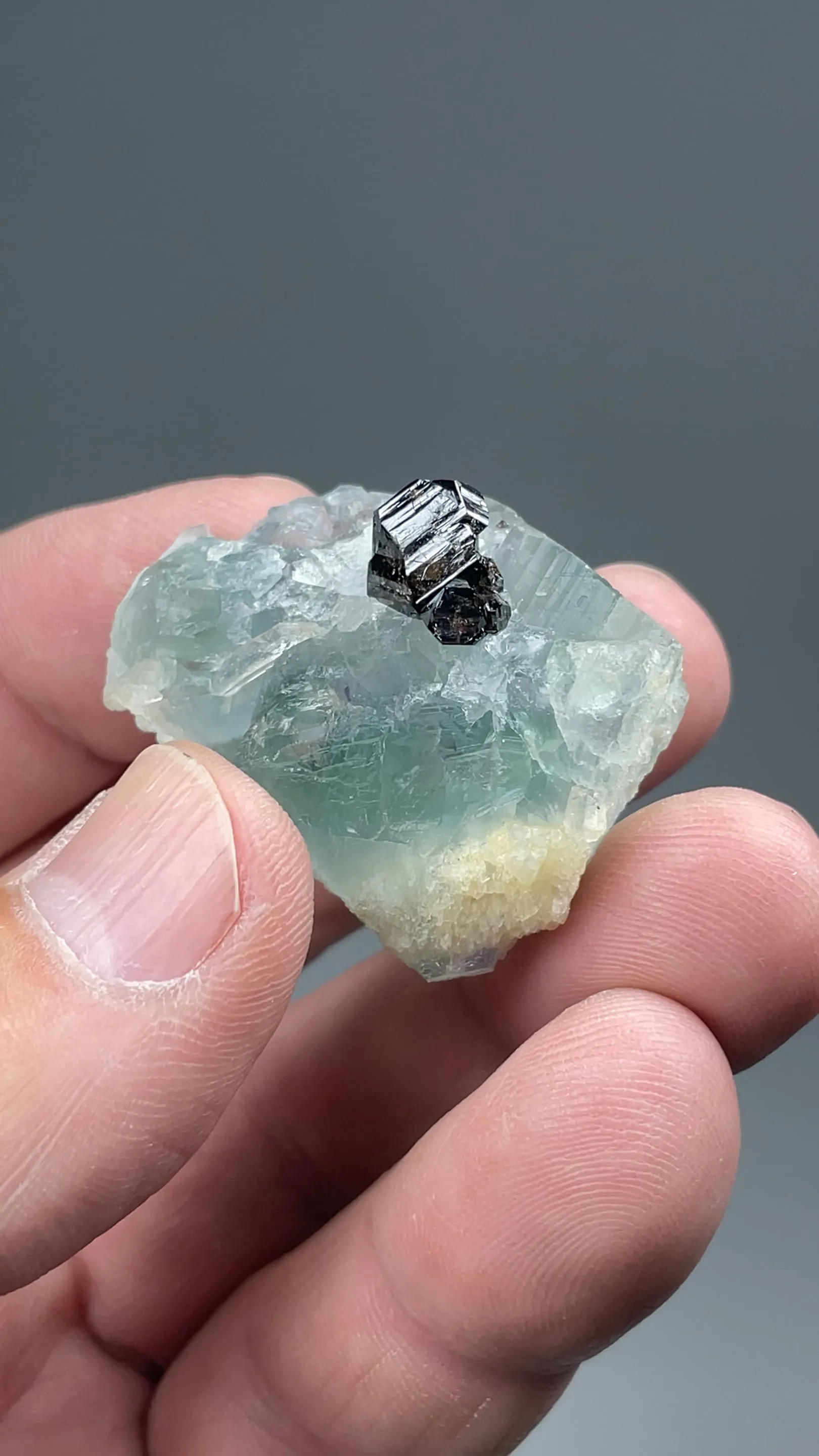Cassiterite with Fluorite - image 2
