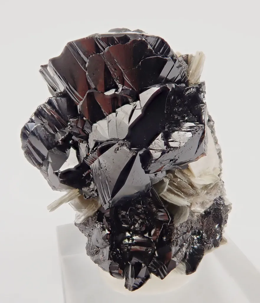 Cassiterite with Muscovite - image 4