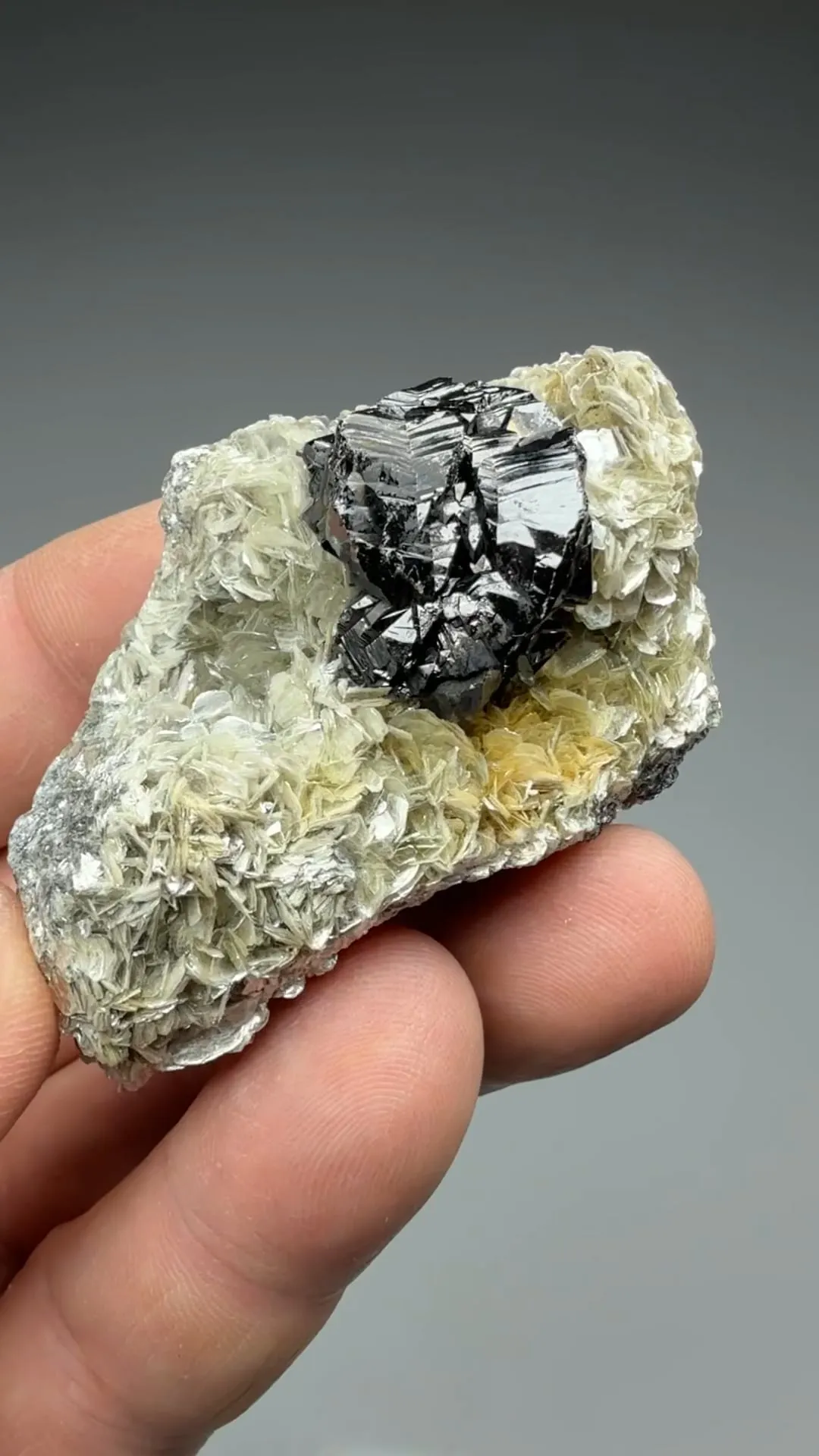 Cassiterite with Muscovite - image 2