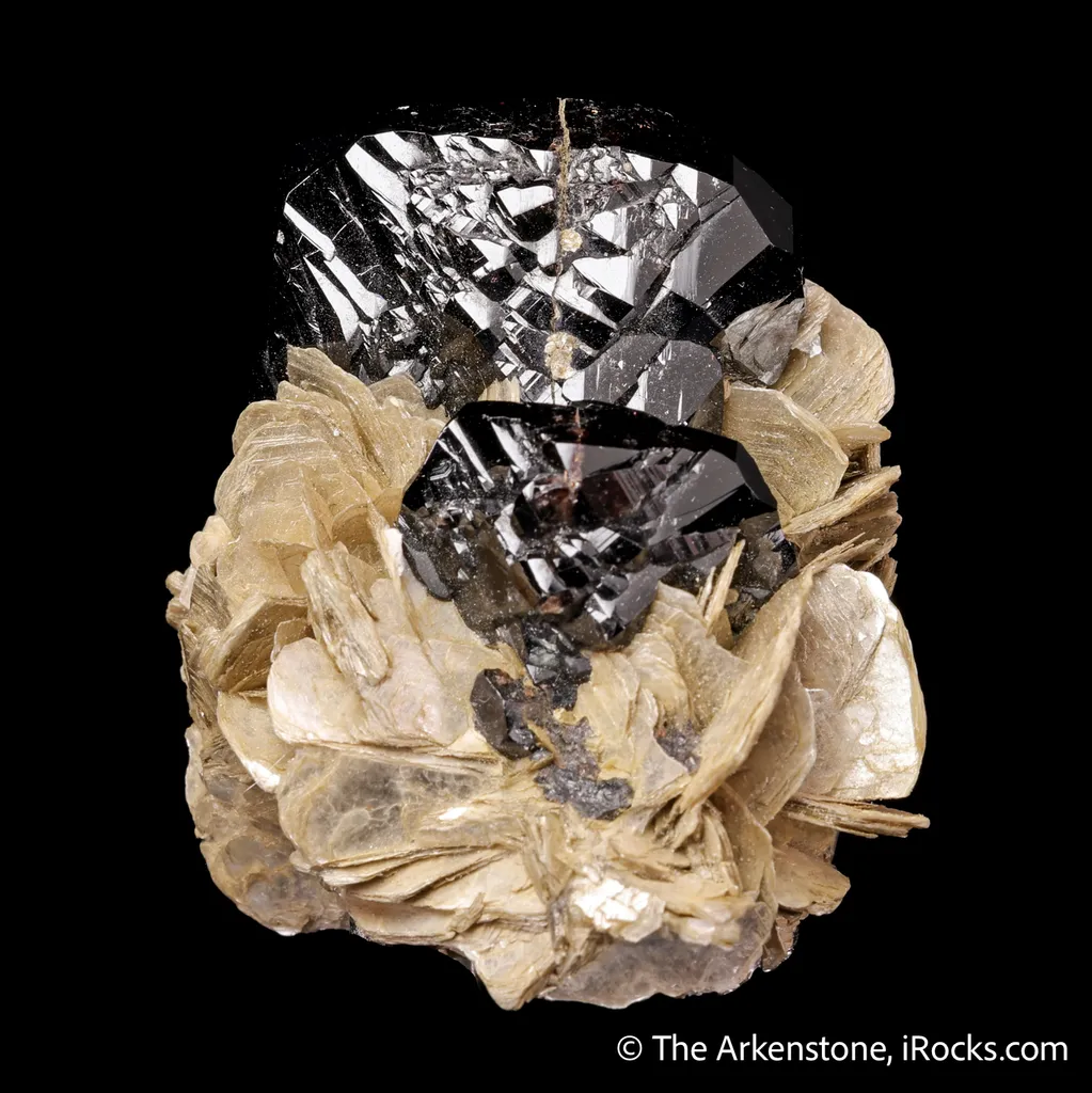 Cassiterite with Muscovite - image 4