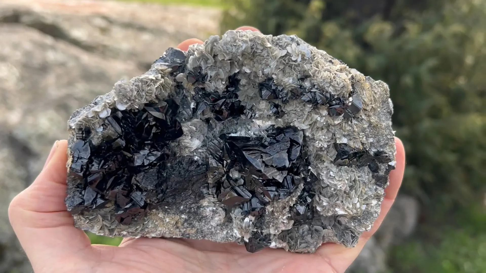 Cassiterite with Muscovite - image 5