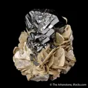Cassiterite with Muscovite - image 6