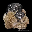 Cassiterite with Muscovite - image 7