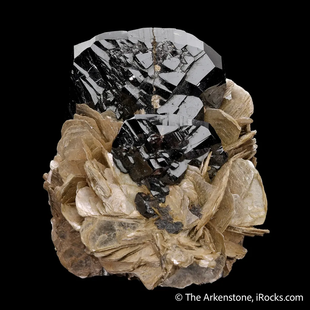 Cassiterite with Muscovite image