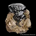 Cassiterite with Muscovite - image 1