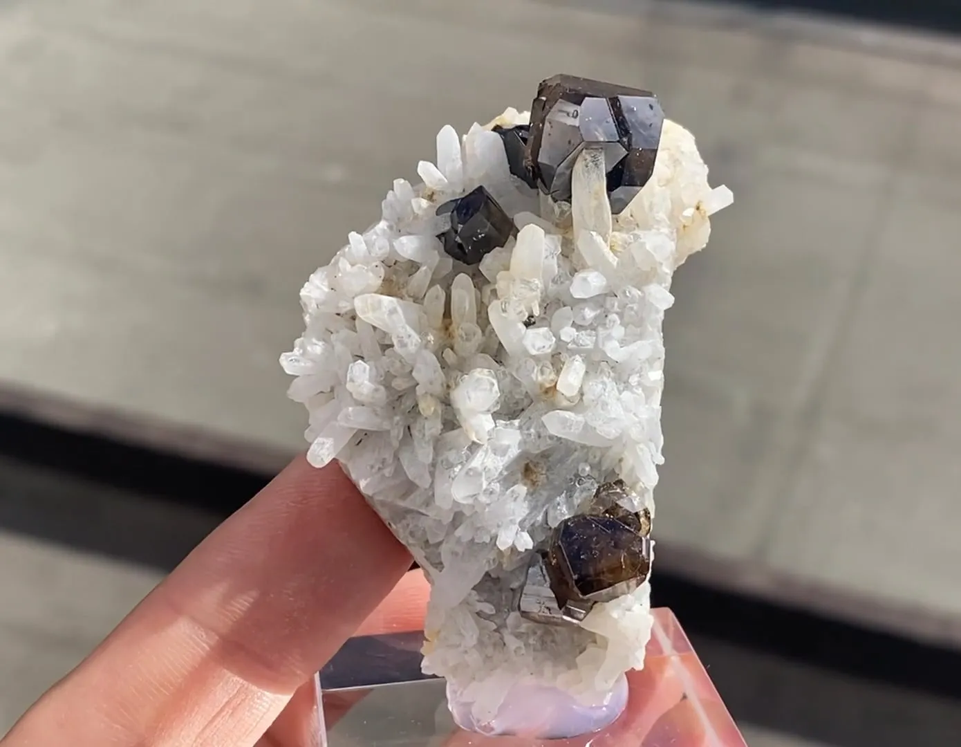 Cassiterite with Quartz - image 5