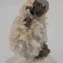 Cassiterite with Quartz - image 2
