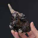 Cassiterite with Quartz - image 2