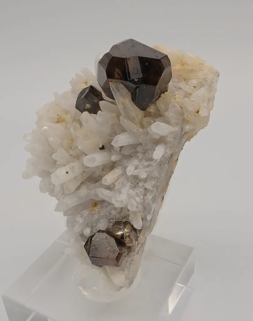 Cassiterite with Quartz image