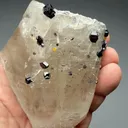 Cassiterite with Quartz, Scheelite - image 2