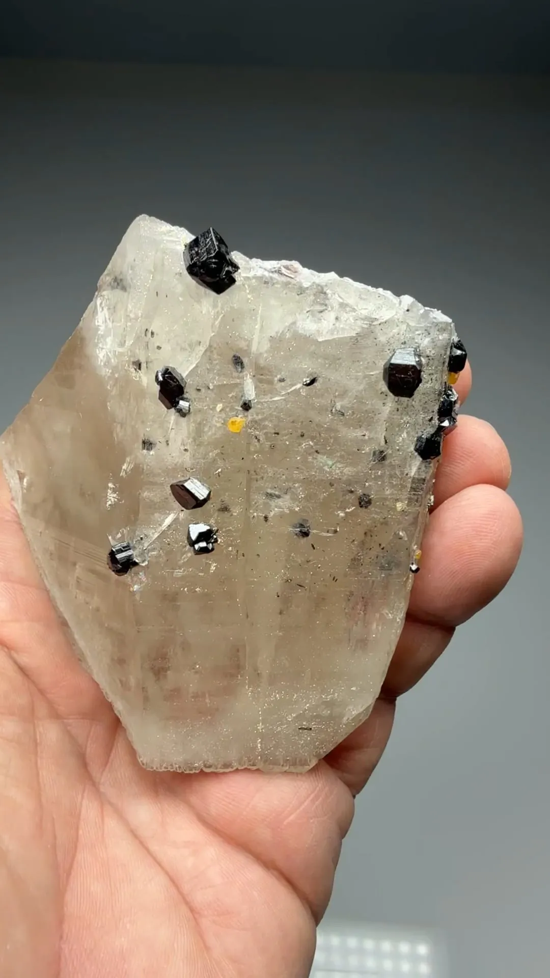 Cassiterite with Quartz, Scheelite - image 2