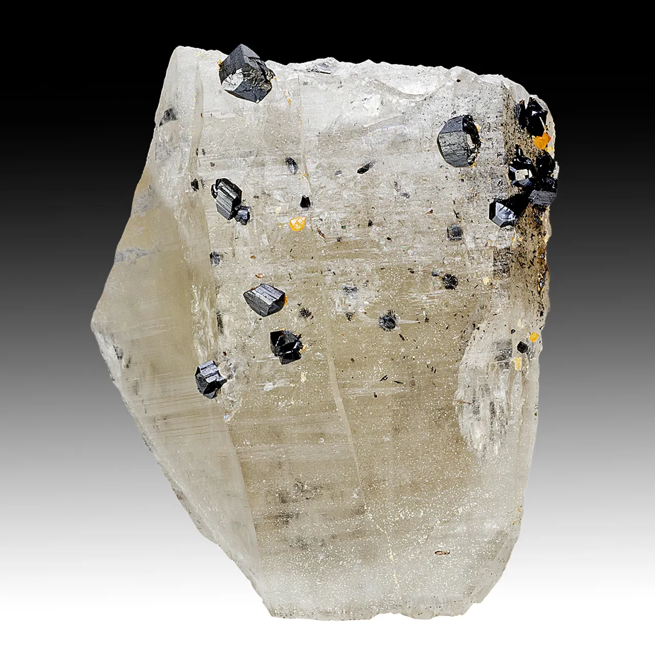 Cassiterite with Quartz, Scheelite - image 1