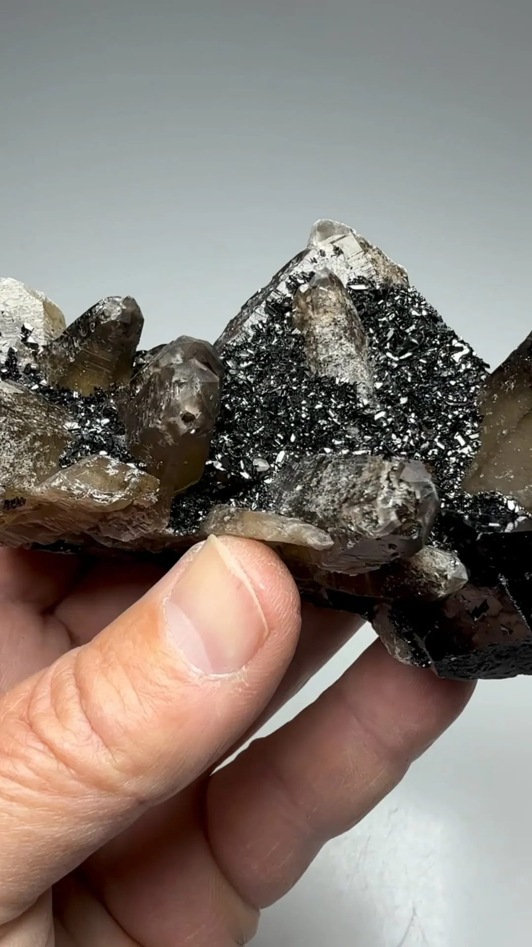 Cassiterite with Quartz, Schorl - image 2