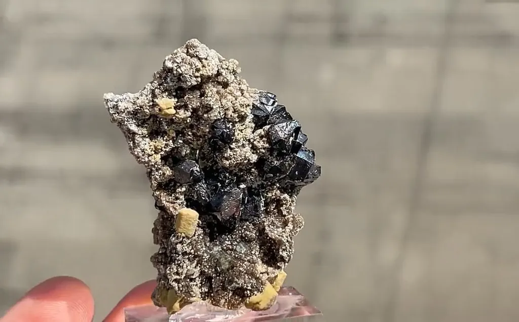 Cassiterite with Siderite - image 2