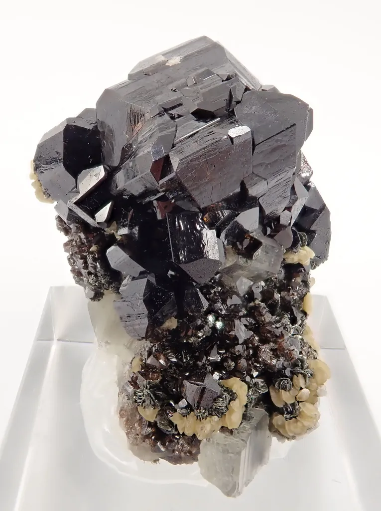 Cassiterite with Siderite and Fluorapatite image
