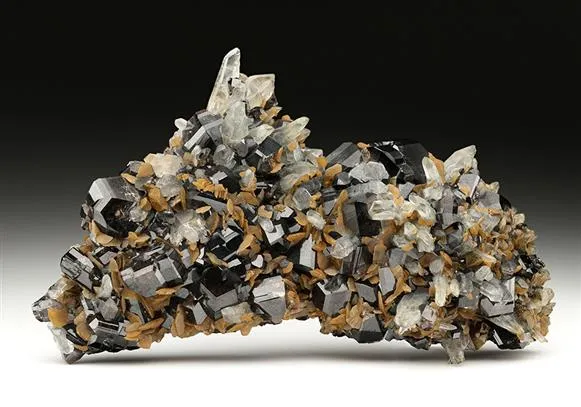 Cassiterite with Siderite and Quartz image
