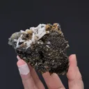 Cassiterite with Siderite on Quartz - image 2