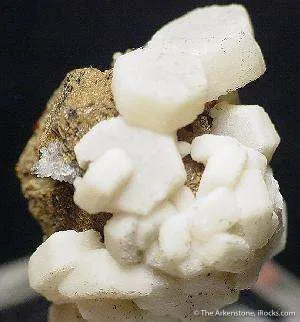 Catapleite Ps. Fluorite With Epididymite And Aegirine - image 2