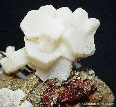 Catapleite Ps. Fluorite With Epididymite, Mn-Neptunite and Aegirine - image 2