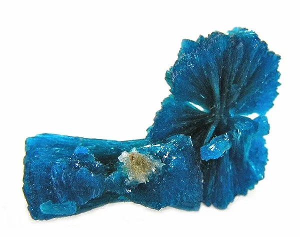 Cavansite image
