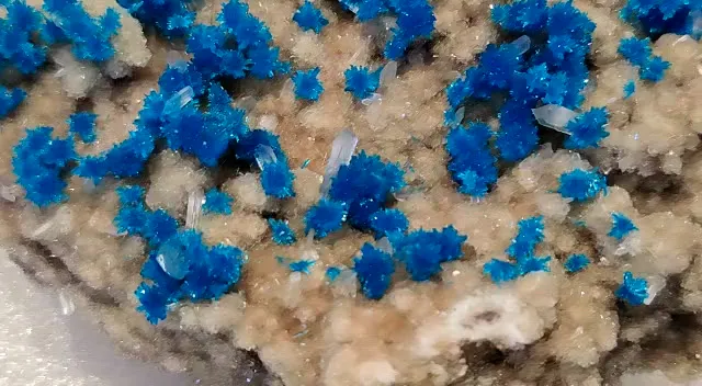 specimen video