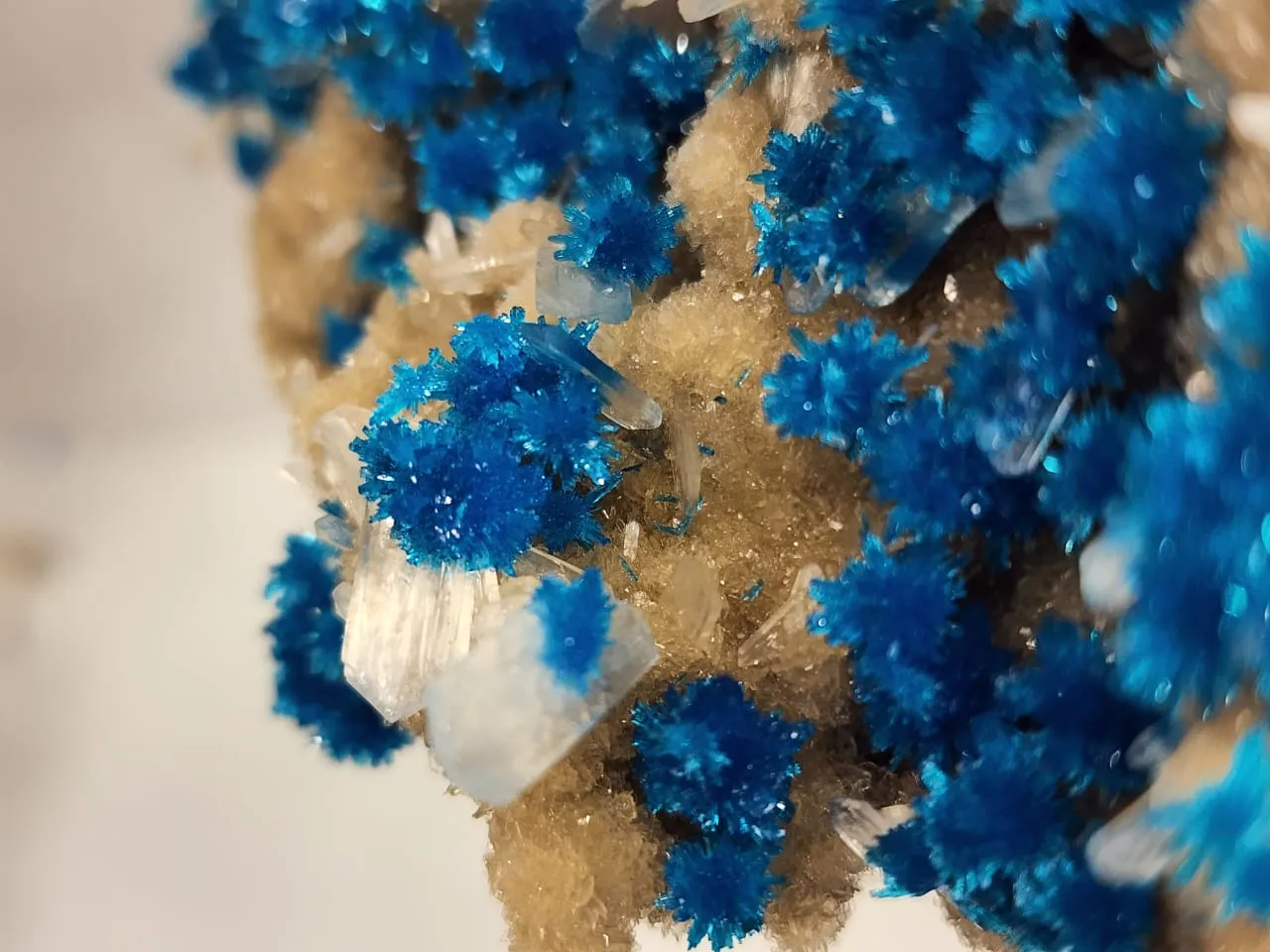 Cavansite and pentagonite - image 5