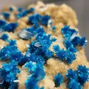 Cavansite and pentagonite - image 6
