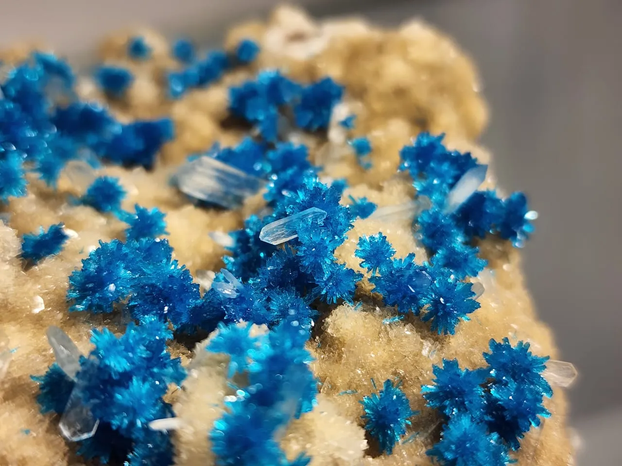 Cavansite and pentagonite - image 6