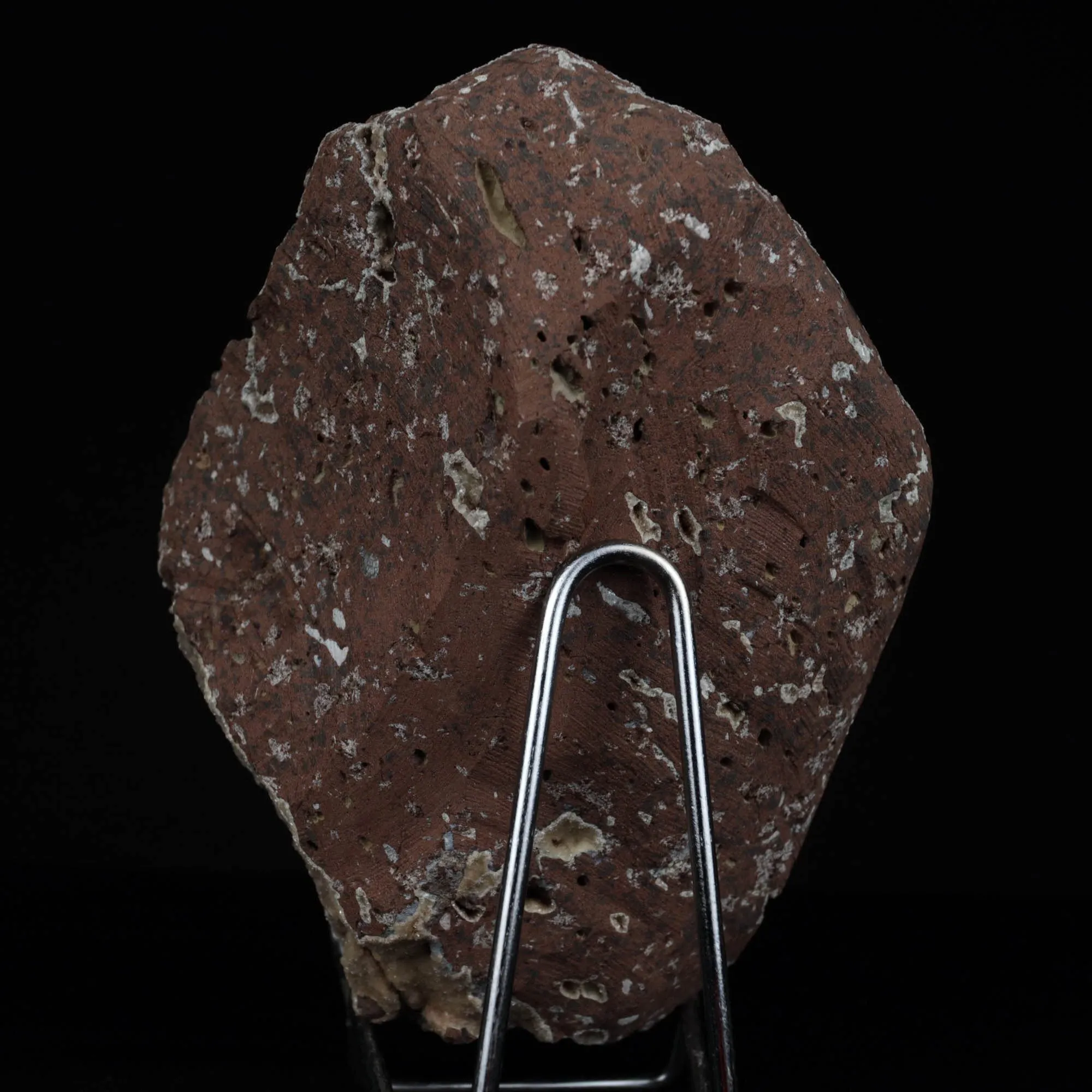 Cavansite Balls on Heuandite Natural Mineral Specimen - image 5