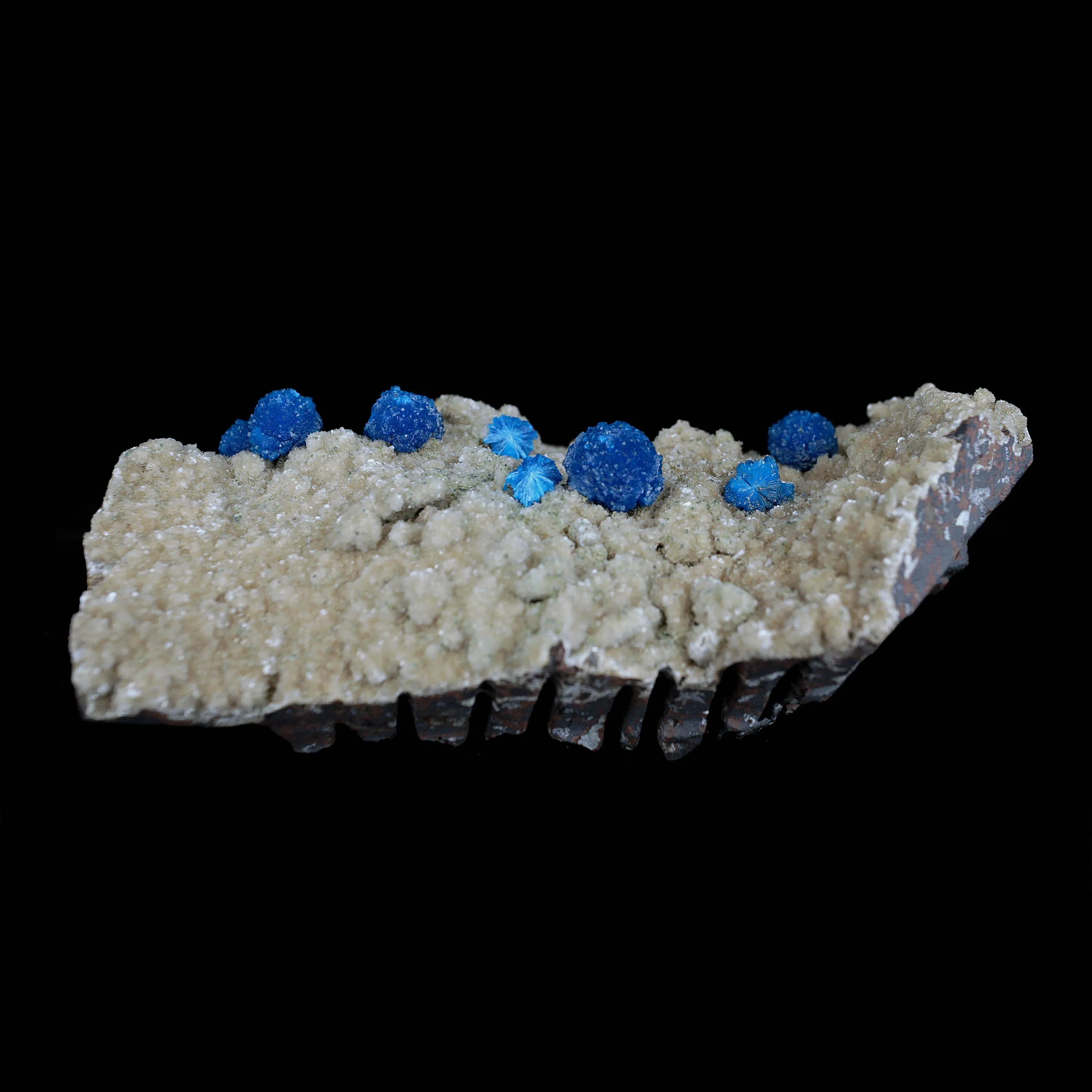 Cavansite Blue Puff Balls on Heuladnite Natural Mineral Specimen - image 5