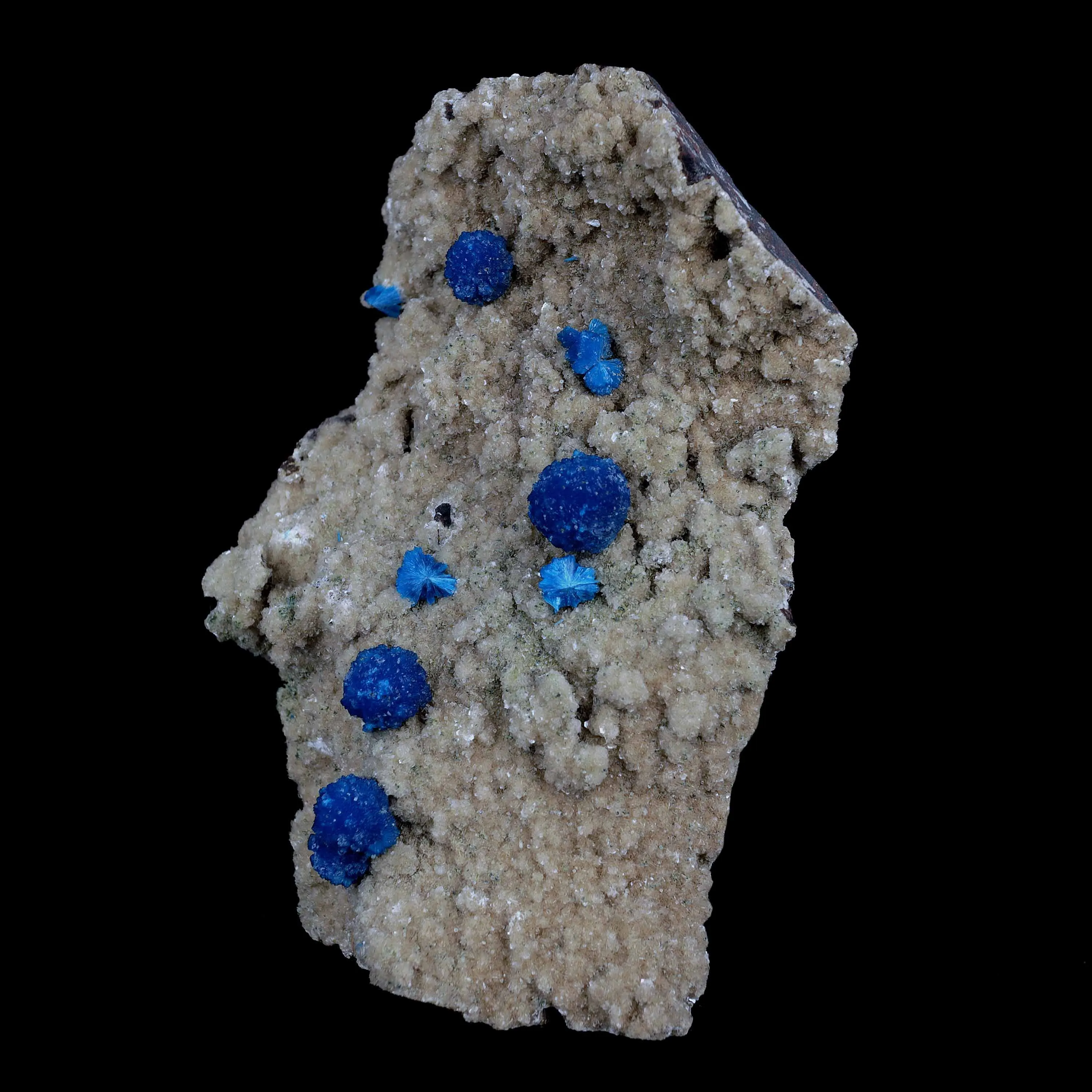 Cavansite Blue Puff Balls on Heuladnite Natural Mineral Specimen - image 3