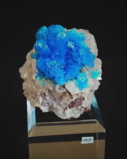 specimen video