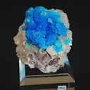 specimen video