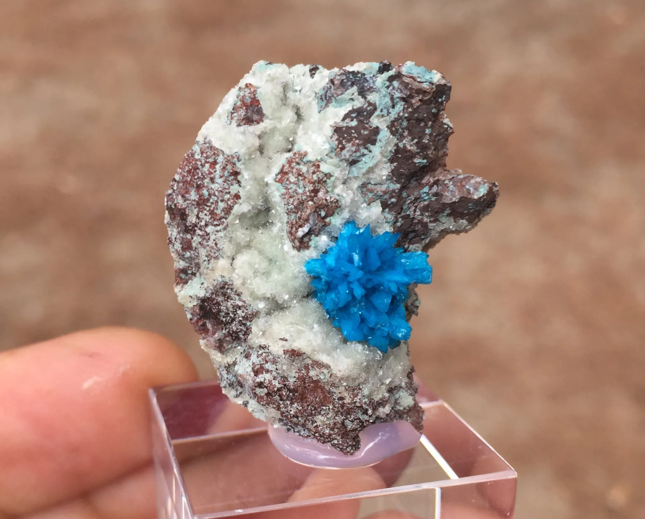Cavansite - image 5