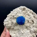 Cavansite Deep Blue on Heulandite Matrix Natural Mineral Specimen - image 3