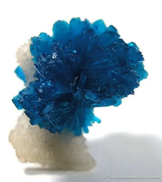 Cavansite Flower on Quartz - image 1