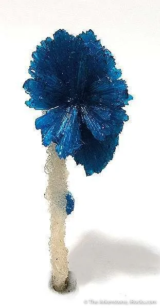 Cavansite Flower on Quartz - image 2