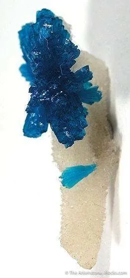Cavansite Flower on Quartz image