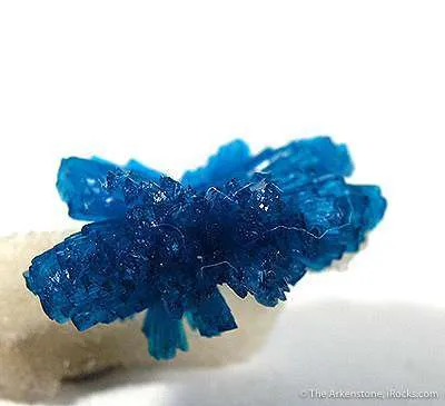 Cavansite Flower on Quartz - image 3