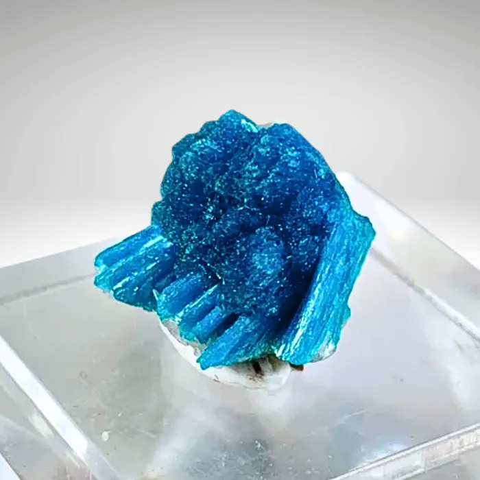 Cavansite from India, Maharashtra image